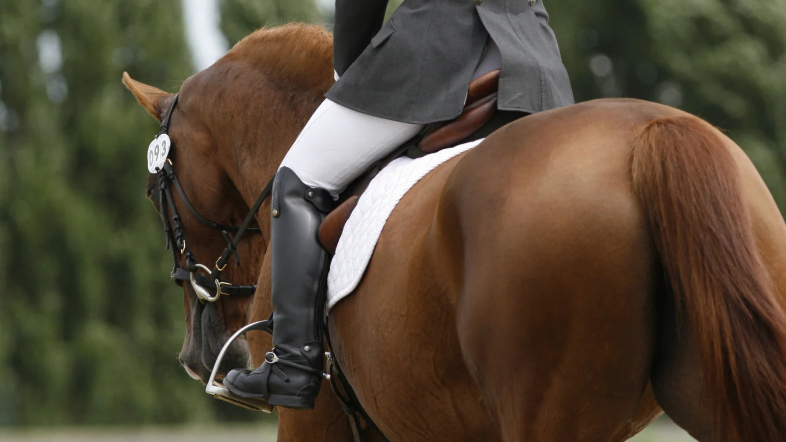 NZ Tack Saddlery Co.